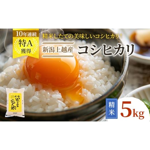 ふるさと納税 米 コシヒカリ 新潟県 上越市 令和8年5月下旬配送 令和7年産 新潟県上越市産 コシヒカリ 5kg こしひかり 精米したて 上越市 蛍の里