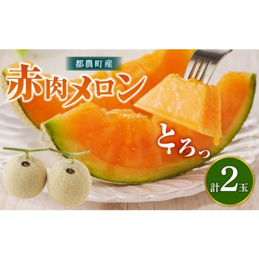 ふるさと納税 メロン メロン赤肉 宮崎県 都農町 夏用 先行予約 期間限定 都農町産「赤肉メロン」計2玉 フルーツ 果物 デザート 国産_T015-0065-N