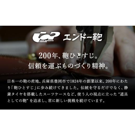 ふるさと納税 カバン 兵庫県 豊岡市 スーツケース FREQUENTER LIEVE リエーヴェ 4輪キャリー 57cm (1-252)・ダークグレイ ／ 軽量 静か バランス TAS 鍵不要 …の画像