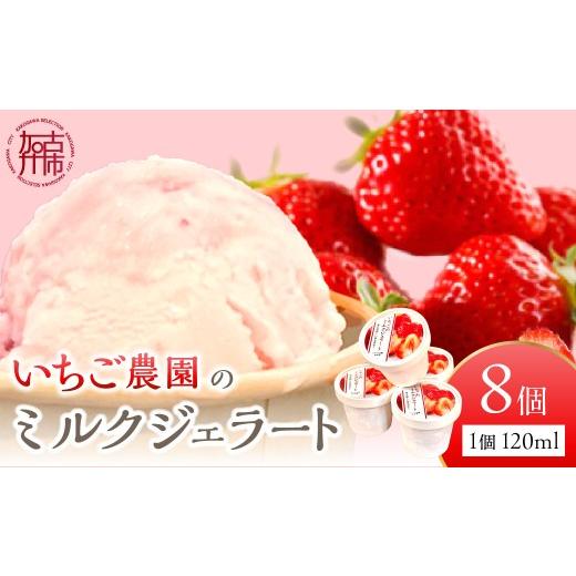 ふるさと納税 アイス・ヨーグルト ジェラート 兵庫県 加古川市 いちごミルクジェラート[ ジェラート アイス カップ いちご ミルク スイーツ ] 2501H09703