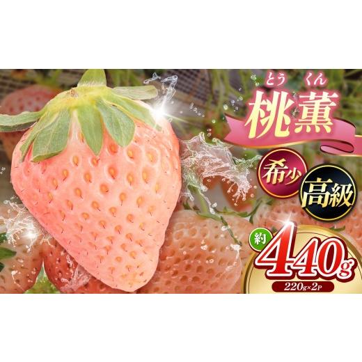ふるさと納税 いちご 山口県 平生町 希少 「 桃薫 ( とうくん ) 」 約220g × 2パック( 約440g )| 桃薫 とうくん 希少いちご 限定 栽培 国産いちご 苺 い…