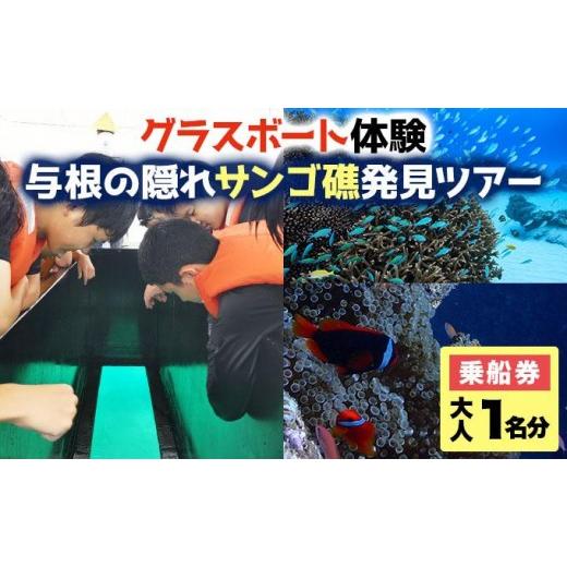 ふるさと納税 体験チケット 沖縄県 豊見城市 UN001 海人と行く 与根の隠れサンゴ礁発見ツアー 〜那覇空港至近のグラスボート体験〜