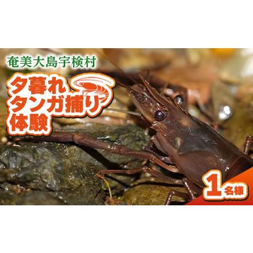 ふるさと納税 イベントやチケット等 鹿児島県 宇検村 夕暮れタンガ捕り体験 1名様 奄美大島 宇検村 鹿児島県 旅行 自然 冒険 完全プライベート 1名様