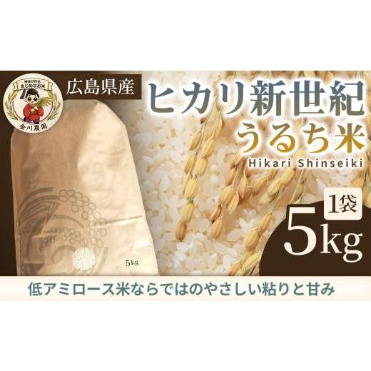 ふるさと納税 米 広島県 三原市 ヒカリ新世紀(うるち米)5kg 米 お米 コメ ご飯 ごはん 238007