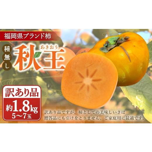 ふるさと納税 果物類 柿 福岡県 香春町 訳あり品 福岡県ブランド柿 秋王 訳あり品 5〜7玉 約1.8kg 種無し 2026年11月上旬〜12月上旬発送予定 柿 かき カキ 秋…
