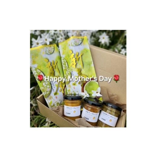 ふるさと納税 ジャム 神奈川県 真鶴町 母の日ギフト 相模湾を望む畑より柑橘農家のマーマレード3種セット&amp;初摘み新茶2袋をお届け 1728332