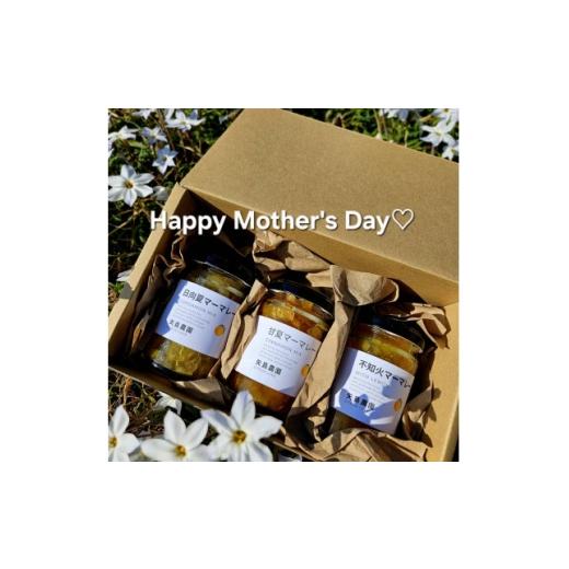 ふるさと納税 ジャム 神奈川県 真鶴町 母の日ギフト 相模湾を望む柑橘農家の手作り 香り好評マーマレード3種セット 1728345