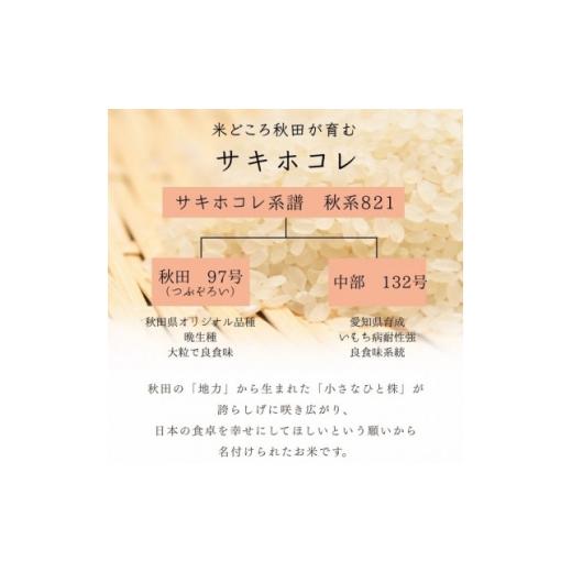 ふるさと納税 米 秋田県 大潟村 サキホコレ20kg 秋田県産特別栽培米 5kg×4袋 大潟村のお米 令和7年産 精米 1726019の画像