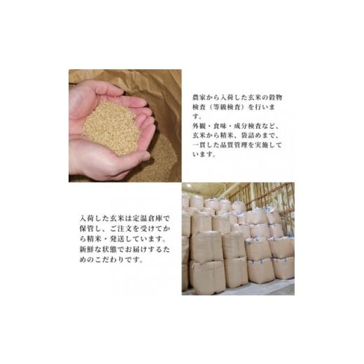 ふるさと納税 米 秋田県 大潟村 サキホコレ20kg 秋田県産特別栽培米 5kg×4袋 大潟村のお米 令和7年産 精米 1726019の画像