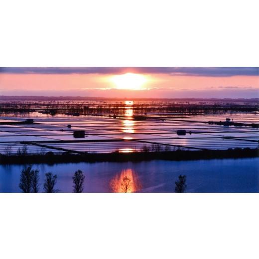 ふるさと納税 米 秋田県 大潟村 サキホコレ20kg 秋田県産特別栽培米 5kg×4袋 大潟村のお米 令和7年産 精米 1726019の画像