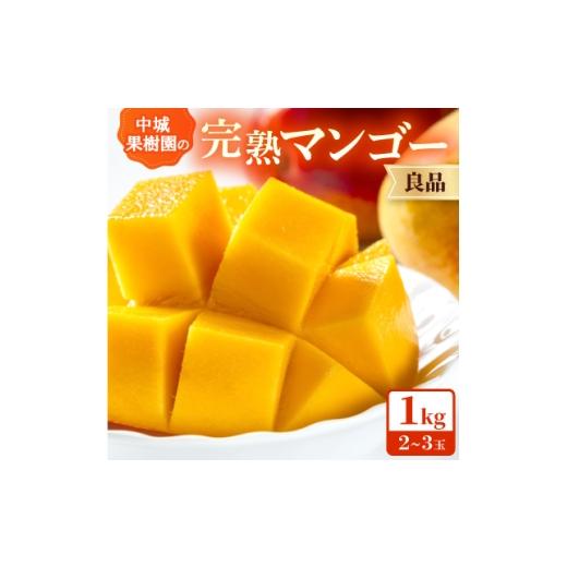ふるさと納税 マンゴー 沖縄県 中城村 2026年7月から順次発送・白箱 中城果樹園の完熟アップルマンゴー 良品1.0kg(2〜3玉) 1730473