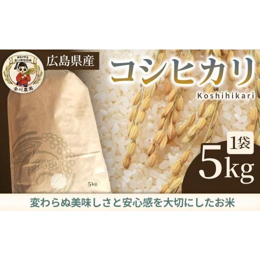 ふるさと納税 米 コシヒカリ 広島県 三原市 コシヒカリ 5kg 米 お米 ご飯 ごはん 白米 精米 238010