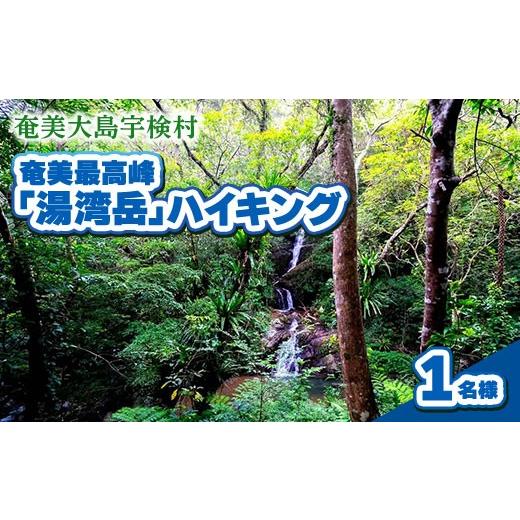 ふるさと納税 イベントやチケット等 鹿児島県 宇検村 奄美最高峰「湯湾岳」ハイキング 1名様 奄美大島 宇検村 鹿児島県 旅行 自然 冒険 完全プライベート 1名…
