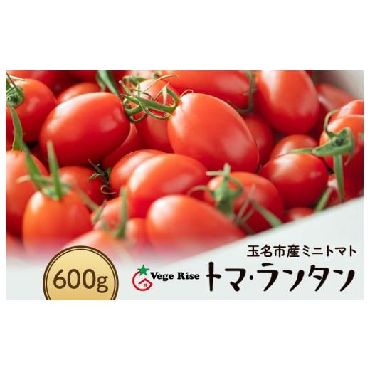 ふるさと納税 トマト ミニトマト 熊本県 玉名市 ミニトマト生産量 日本一 玉名市 「 トマ・ランタン 」 600g | ミニトマト トマト Vege Rise 野菜 やさい 高糖…