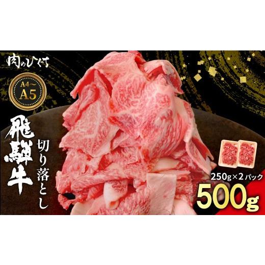 ふるさと納税 牛肉 炒め物 岐阜県 東白川村 7月発送 飛騨牛 切り落とし 500g(250g×2P) A5 A4 国産 牛 黒毛和牛 和牛 牛肉 切落し 切り落し 薄切り 訳あり …