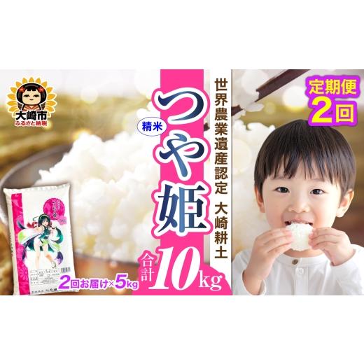 ふるさと納税 米 つや姫 宮城県 大崎市 定期便[精米]令和7年 宮城県産 つや姫 5kg×2回(計10kg) 5kg×2回(計10kg)