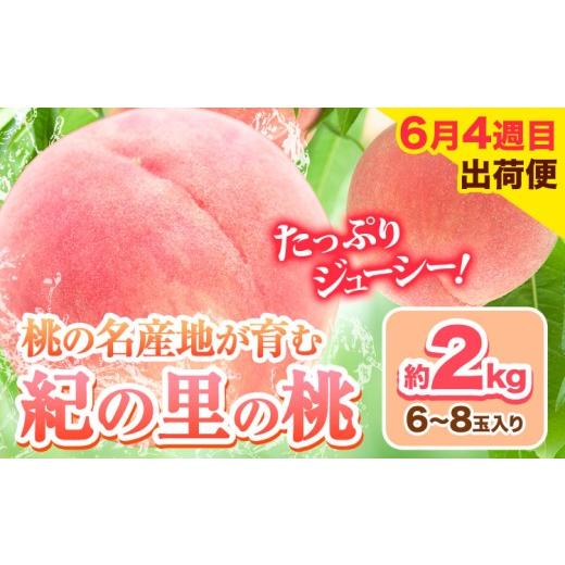 ふるさと納税 もも 和歌山県 岩出市 発送「週」指定でお届け 甘くてジューシーな紀の里の桃 和歌山県産 紀の里の桃 約2kg (6~8玉) [初採れ桃:6月4週目出荷便(…