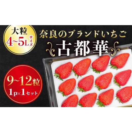 ふるさと納税 野菜類 奈良県 奈良市 いちご 古都華カンパニー 大粒 ことか 9~12粒 1セット 4~5Lサイズ 古都華 化粧箱 数量限定 苺 イチゴ 季節限定 旬 フルー…