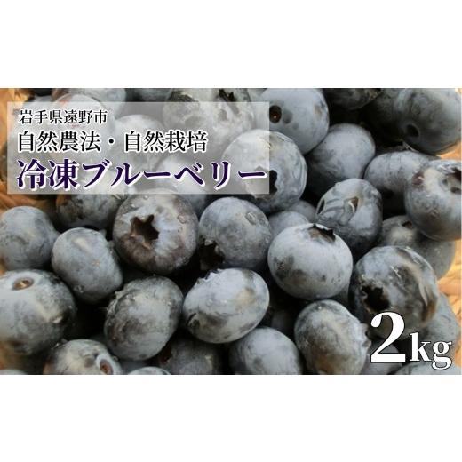 ふるさと納税 果物類 岩手県 遠野市 自然農法 自然栽培 冷凍 ブルーベリー 1kg 無農薬栽培 動物性肥料不使用 遠野もぐもぐカントリー 岩手県 遠野市 2026年7月…