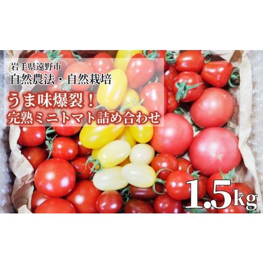 ふるさと納税 トマト ミニトマト 岩手県 遠野市 無農薬の完熟ミニトマト詰め合わせ 1.5kg 農家直送 |自然農法 農家直送 遠野もぐもぐカントリー 岩手県 遠野…