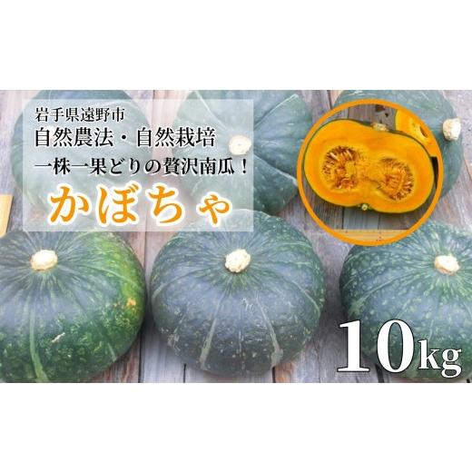 ふるさと納税 野菜類 岩手県 遠野市 農薬不使用 自然農法 かぼちゃ(10kg)甘い粉質系を凝縮 遠野もぐもぐカントリー 岩手県 遠野市 先行予約品:2026年9月1日…