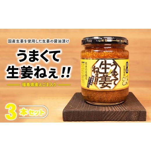 ふるさと納税 調味料・油 たれ 福島県 猪苗代町 うまくて生姜ねぇ 3本セット | しょうが 国産 醤油漬け ごはんのお供 お弁当 調味料 おつまみ 肴 薬味 隠し味 …