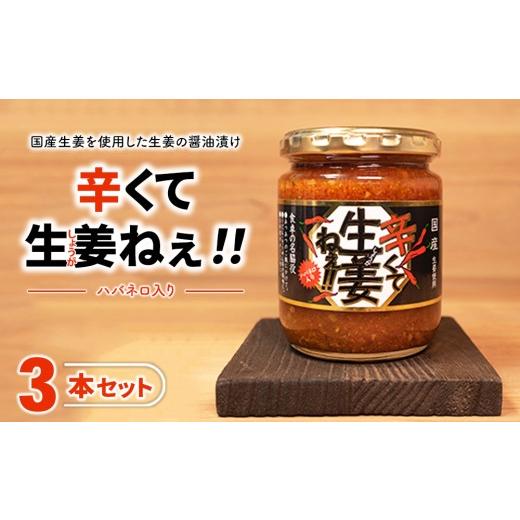 ふるさと納税 調味料・油 たれ 福島県 猪苗代町 辛くて生姜ねぇ 3本セット | しょうが 国産 醤油漬け ハバネロ ごはんのお供 お弁当 調味料 おつまみ 肴 薬味 …