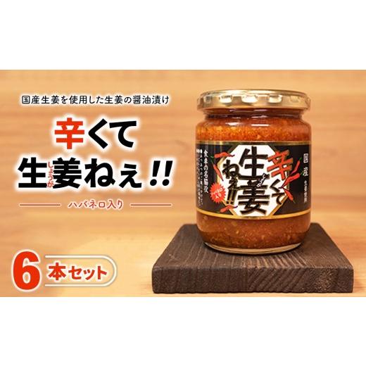 ふるさと納税 調味料・油 たれ 福島県 猪苗代町 辛くて生姜ねぇ 6本セット | しょうが 国産 醤油漬け ハバネロ ごはんのお供 お弁当 調味料 おつまみ 肴 薬味 …