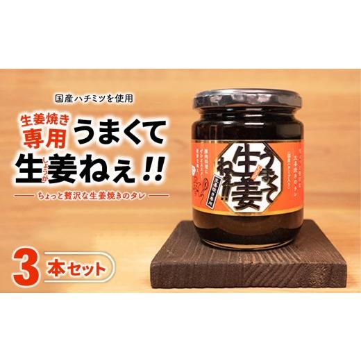 ふるさと納税 調味料・油 たれ 福島県 猪苗代町 うまくて生姜ねぇ 生姜焼き専用 3本セット | しょうが 国産 醤油漬け しょうが焼き タレ ごはんのお供 調味料 …