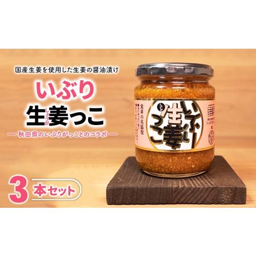 ふるさと納税 調味料・油 たれ 福島県 猪苗代町 いぶり生姜っこ 3本セット | しょうが 国産 醤油漬け いぶりがっこ ごはんのお供 お弁当 調味料 おつまみ 肴 …