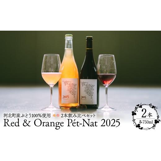 ふるさと納税 ワイン 赤ワイン 山形県 河北町 河北町産ぶどう100%使用 Red &amp; Orange P?t-Nat 2025 2本飲み比べセット(赤・オレンジ)750ml×3本 かほく…