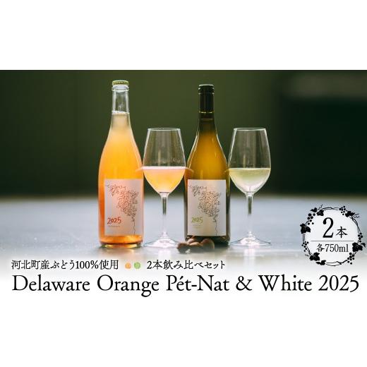 ふるさと納税 ワイン 白ワイン 山形県 河北町 河北町産ぶどう100%使用 Delaware Orange P?t-Nat &amp; White 2025 2本飲み比べセット(微発泡オレンジ・白)…