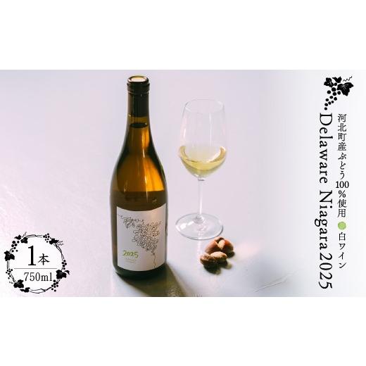 ふるさと納税 ワイン 白ワイン 山形県 河北町 河北町産ぶどう100%使用 Delaware Niagara2025(750ml×1本) かほくらし社 ka019-313j-2025