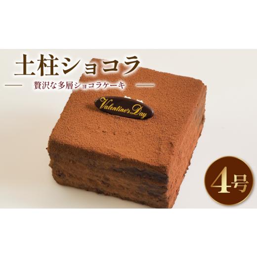 ふるさと納税 ケーキ・カステラ チョコレートケーキ 徳島県 阿波市 日時指定可 チョコケーキ ショコラケーキ 4号 冷凍 プレート付き 洋菓子 焼菓子 デザート …