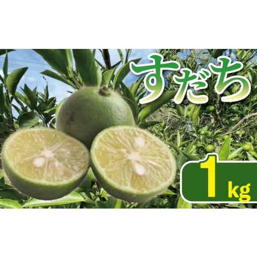 ふるさと納税 みかん・柑橘類 レモン 徳島県 吉野川市 すだち 1kg すだちゼリー すだち果汁 すだち酢 徳島県産すだち 柑橘 果物 くだもの フルーツ 旬 期間限…