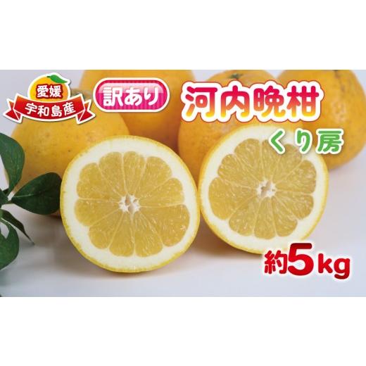 ふるさと納税 果物類 みかん 愛媛県 宇和島市 訳あり 河内晩柑 約 5kg くり房 晩柑 かわちばんかん 和製 グレープフルーツ 訳アリ 訳あり品 愛媛みかん 愛媛蜜…