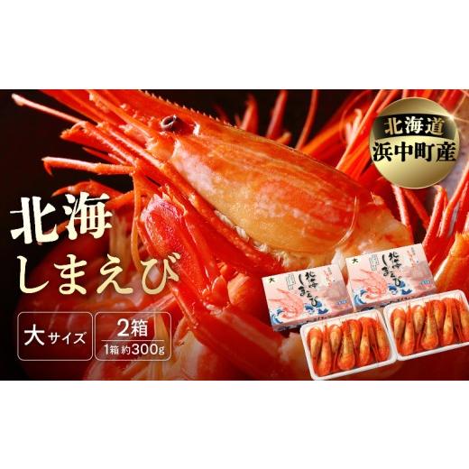 ふるさと納税 エビ 北海道 浜中町 北海しまえび(大)300g×2箱(1箱あたり13尾前後) しまえび シマエビ えび エビ 海老 北海しまえび 海鮮 魚介 新鮮 贅沢 北海…