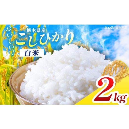 ふるさと納税 米 コシヒカリ 栃木県 那珂川町 栃木県共通返礼品 先行予約 令和8年度産 訳あり 栃木県産 コシヒカリ 2kg |定期便 選べる ふるさと 納税 コシヒ…
