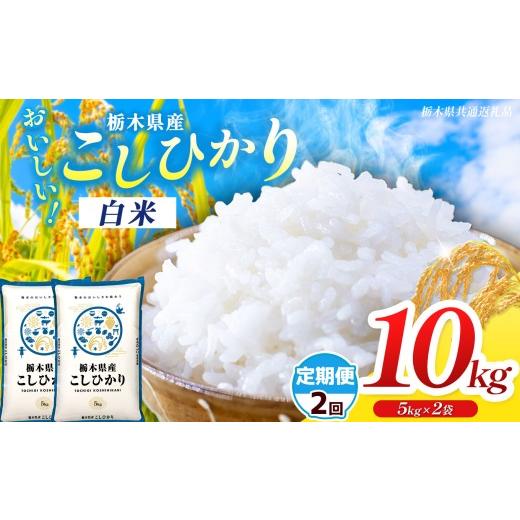 ふるさと納税 米 コシヒカリ 栃木県 那珂川町 栃木県共通返礼品 先行予約 令和8年度産 定期2回 訳あり 栃木県産コシヒカリ 10kg | ふるさと 納税 コシヒカリ …