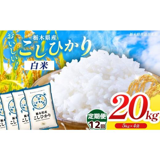 ふるさと納税 米 コシヒカリ 栃木県 那珂川町 栃木県共通返礼品 令和8年度産 定期12回 訳あり 栃木県産コシヒカリ 20kg |定期便 選べる ふるさと 納税 コシヒ…