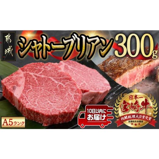 ふるさと納税 牛肉 ヒレ 宮崎県 都城市 宮崎牛シャトーブリアン(A5)150g×2枚 真空 みやこんじょ特急便 _AF-01-001-Q_(都城市) 牛肉 希少部位 最高級 都城産宮…