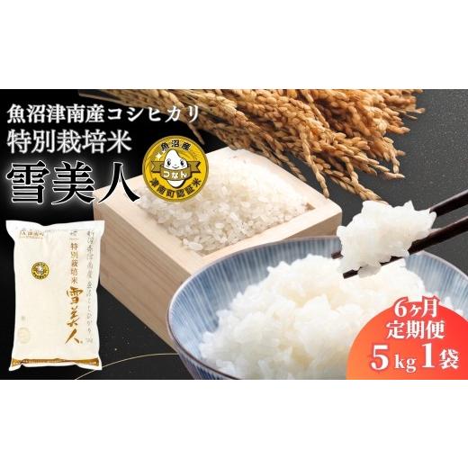ふるさと納税 米 コシヒカリ 新潟県 津南町 コシヒカリ 先行予約 6ヶ月定期便 5kg 令和8年産 魚沼産 コシヒカリ 雪美人 特別栽培米 | 米 こしひかり お米 新…