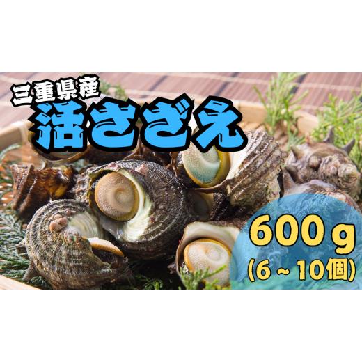 ふるさと納税 サザエ 三重県 紀北町 活さざえ600g(6〜10個) ZZ08-? [冷蔵便]食べ方色々 壷焼き グリル 刺身 網焼き ? 冷蔵便で発送 活さざえ600g[4月25日着…