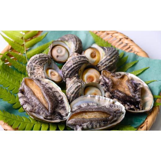 ふるさと納税 サザエ 三重県 紀北町 あわび&さざえセット(あわび 3枚 約210g、さざえ 3〜6コ 約380g) 冷蔵便 [上保商店]魚介類 BBQ食材 US02 ? 冷蔵便で…