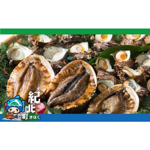 ふるさと納税 サザエ 三重県 紀北町 上保商店 "厳選"あわび さざえ セット 冷蔵便 (あわび(養殖)13〜15枚(1.3kg)、さざえ 7〜20コ(1.5kg)[魚介類 …