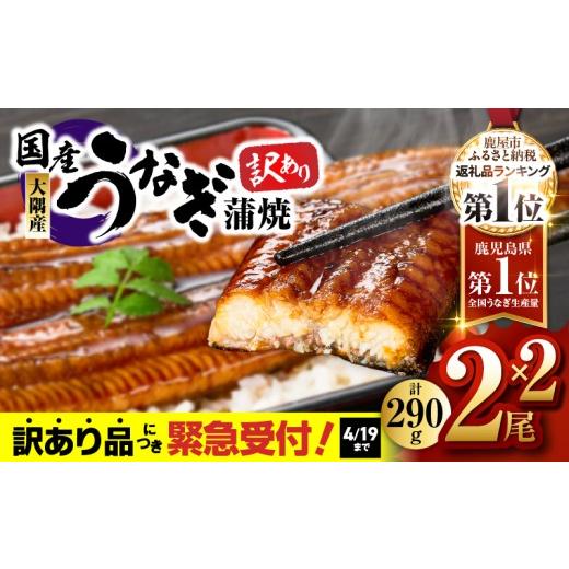 ふるさと納税 うなぎ 鹿児島県 鹿屋市 期間限定 4/19まで(賞味期限 5/24まで) 10営業日以内に発送 訳あり 鹿児島県大隅産うなぎ蒲焼2尾(290g)×2セット…