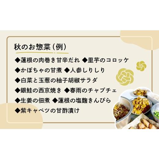 ふるさと納税 惣菜・レトルト 冷凍 埼玉県 草加市  5カ月 定期便 お弁当に使えるお惣菜冷凍便 10種入り｜お惣菜 セット お弁当 おかず 冷凍 定期 おいしい パ…_7