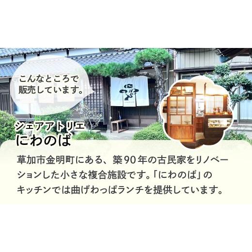 ふるさと納税 惣菜・レトルト 冷凍 埼玉県 草加市  5カ月 定期便 お弁当に使えるお惣菜冷凍便 10種入り｜お惣菜 セット お弁当 おかず 冷凍 定期 おいしい パ…_9