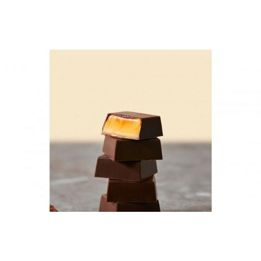 ふるさと納税 菓子 チョコレート 神奈川県 鎌倉市 チョコレートバンク BANK BonBon 1箱6粒入り パッションフルーツ 冷凍