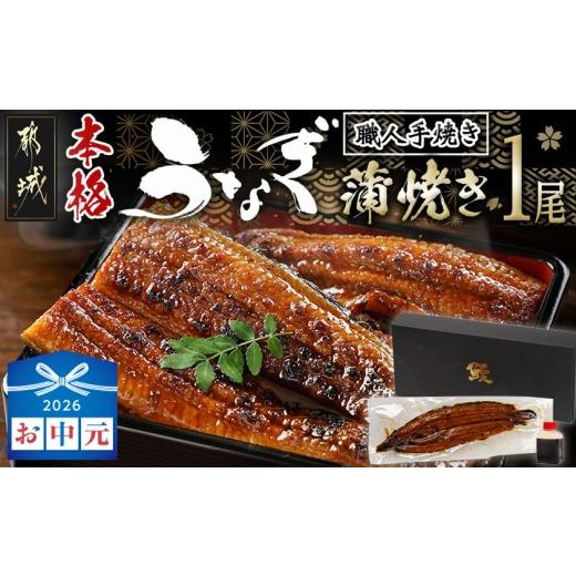 ふるさと納税 うなぎ 宮崎県 都城市 お中元 職人手焼きの本格うなぎ蒲焼き1尾_LG8-33-003-1-SG_(都城市) 鰻蒲焼 1尾 タレ付き 国産 蒲焼き 特製たれ付き 冷凍…